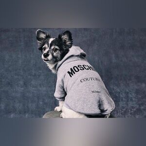 New Moschino Stylish Gray Dog Sweatshirt